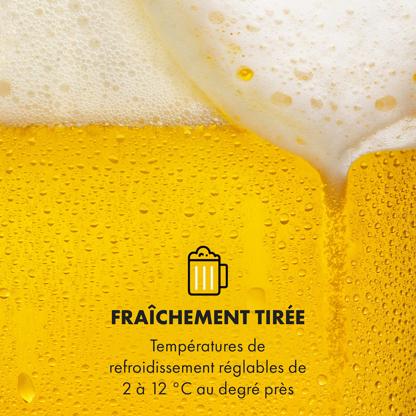 Tireuse à bière à température réglable pour Fûts 5L Noir