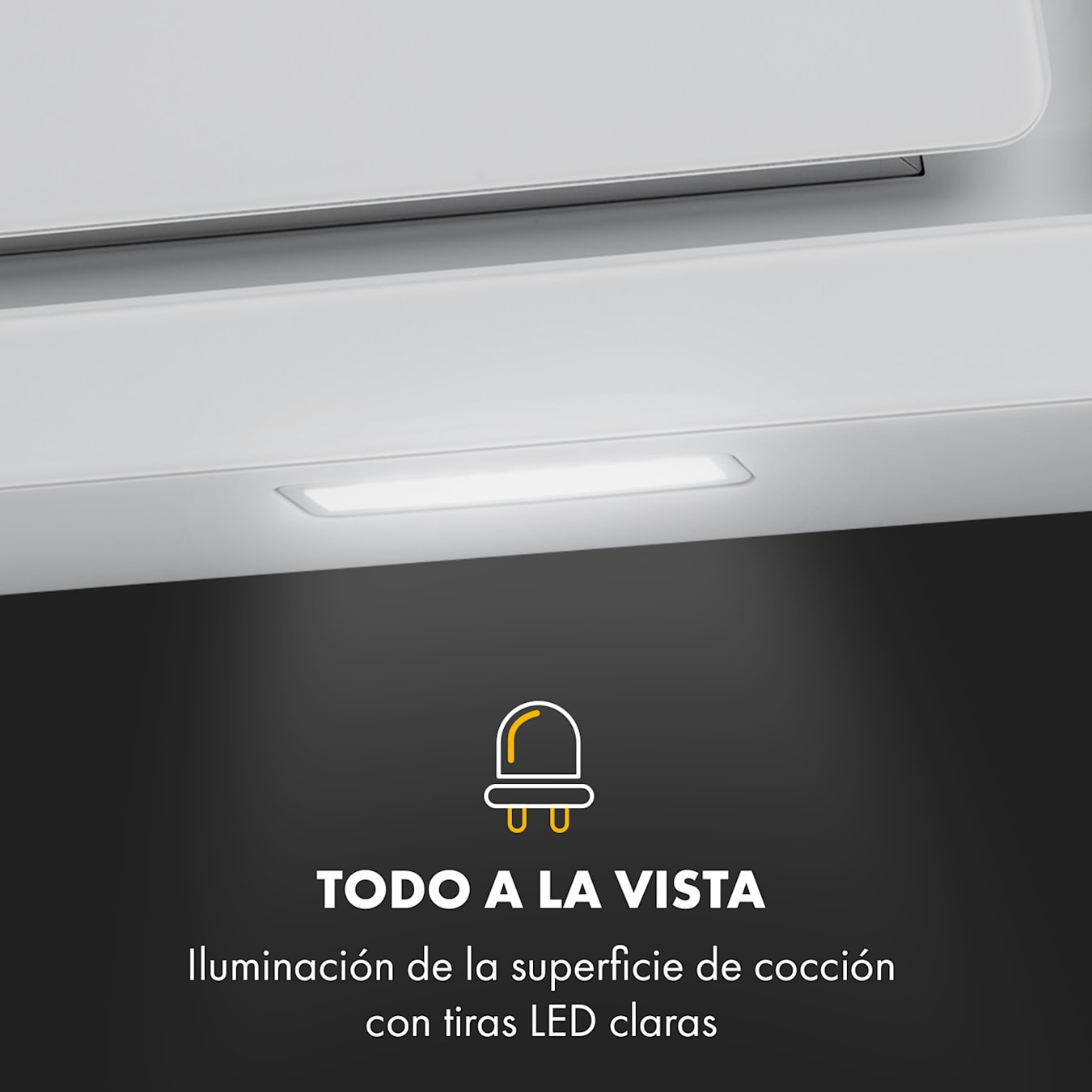 Campana extractora convencional Serie 300 LEDLights de 60 cm Campana  integrable