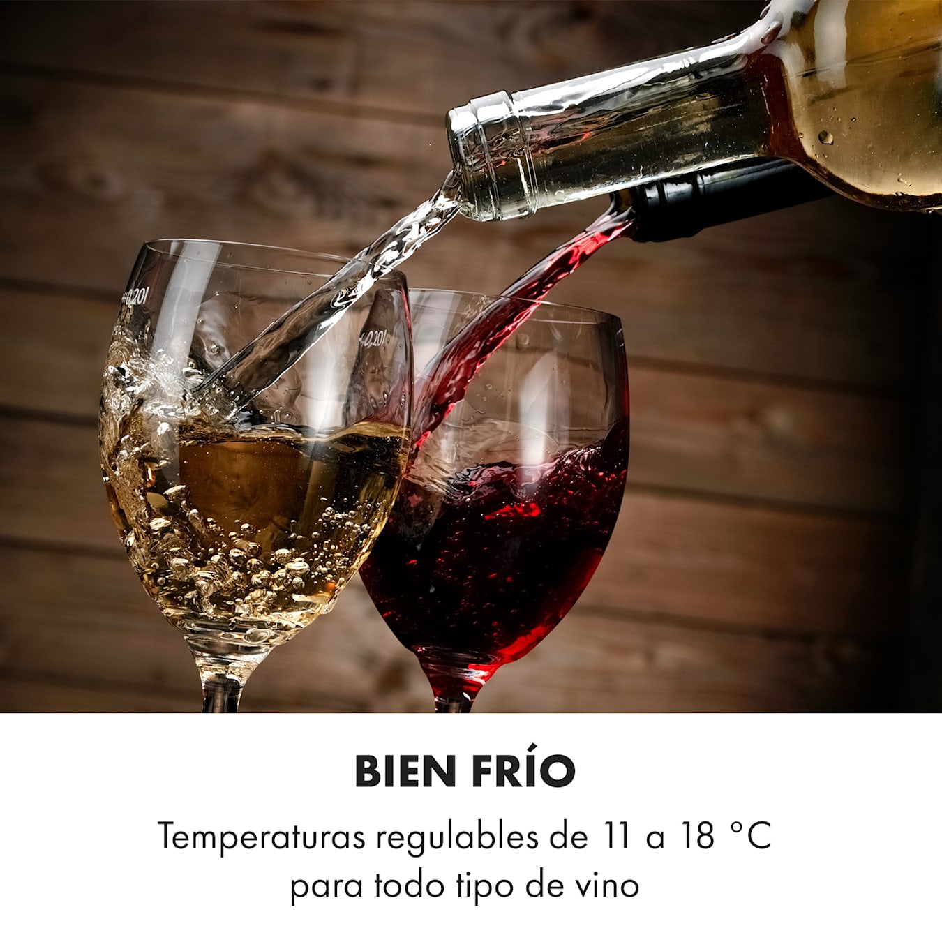 Bellevin 18 Uno nevera para vinos 50 litros 11-18 °C LED Touch SingleZone 1  zona de refrigeración