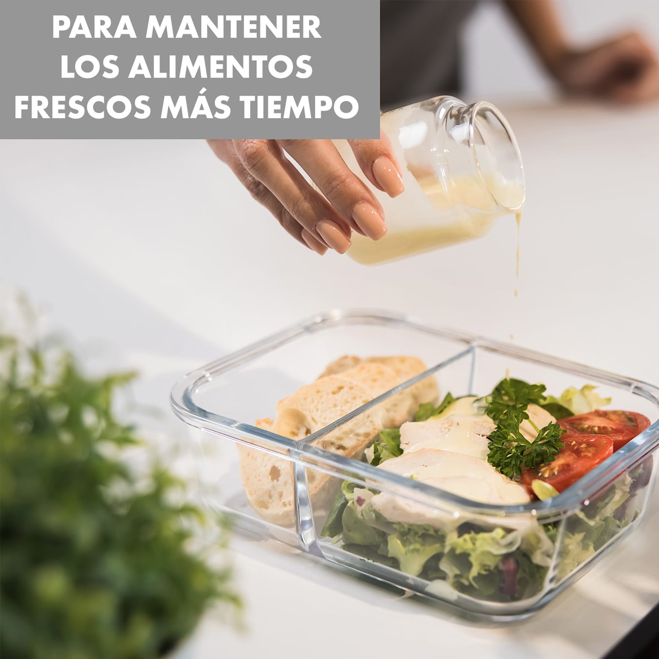 Jardine Juego de 3 fiambreras 2 compartimentos 1040 ml Vidrio de  borosilicato Tapa