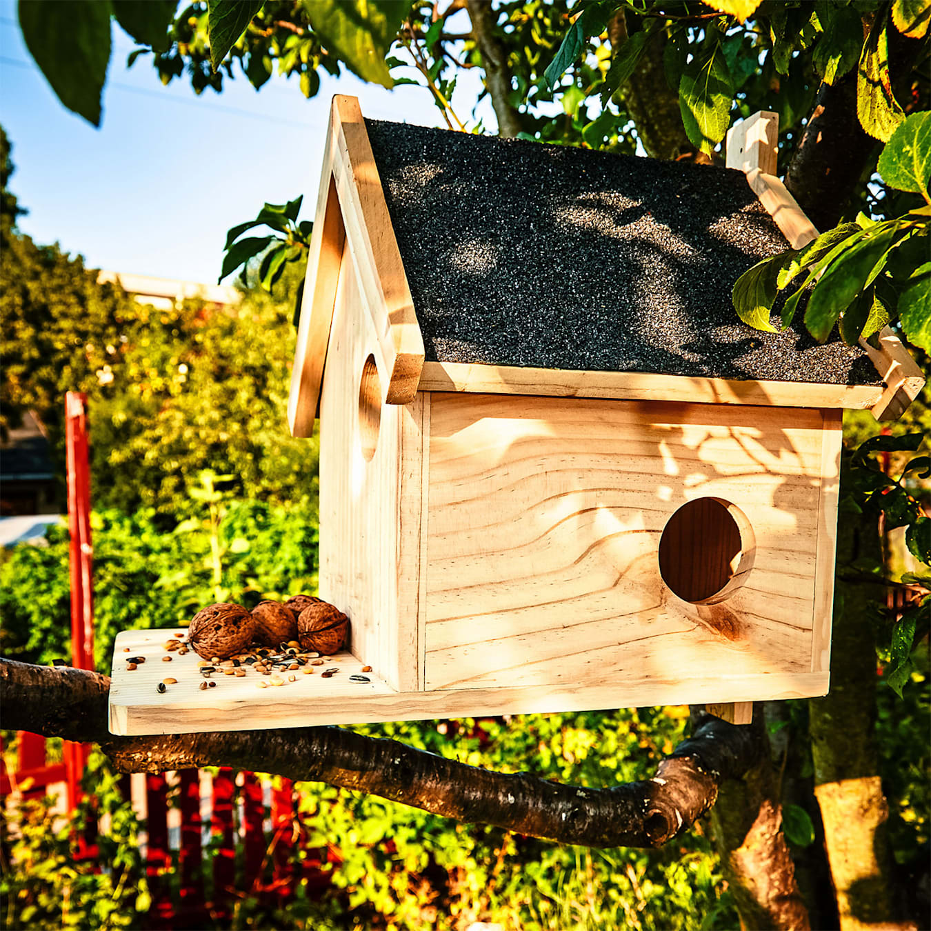 Mangeoire écureuils Maison ecureuil exterieur Cabane bois Abri écureuil  4052025459314 