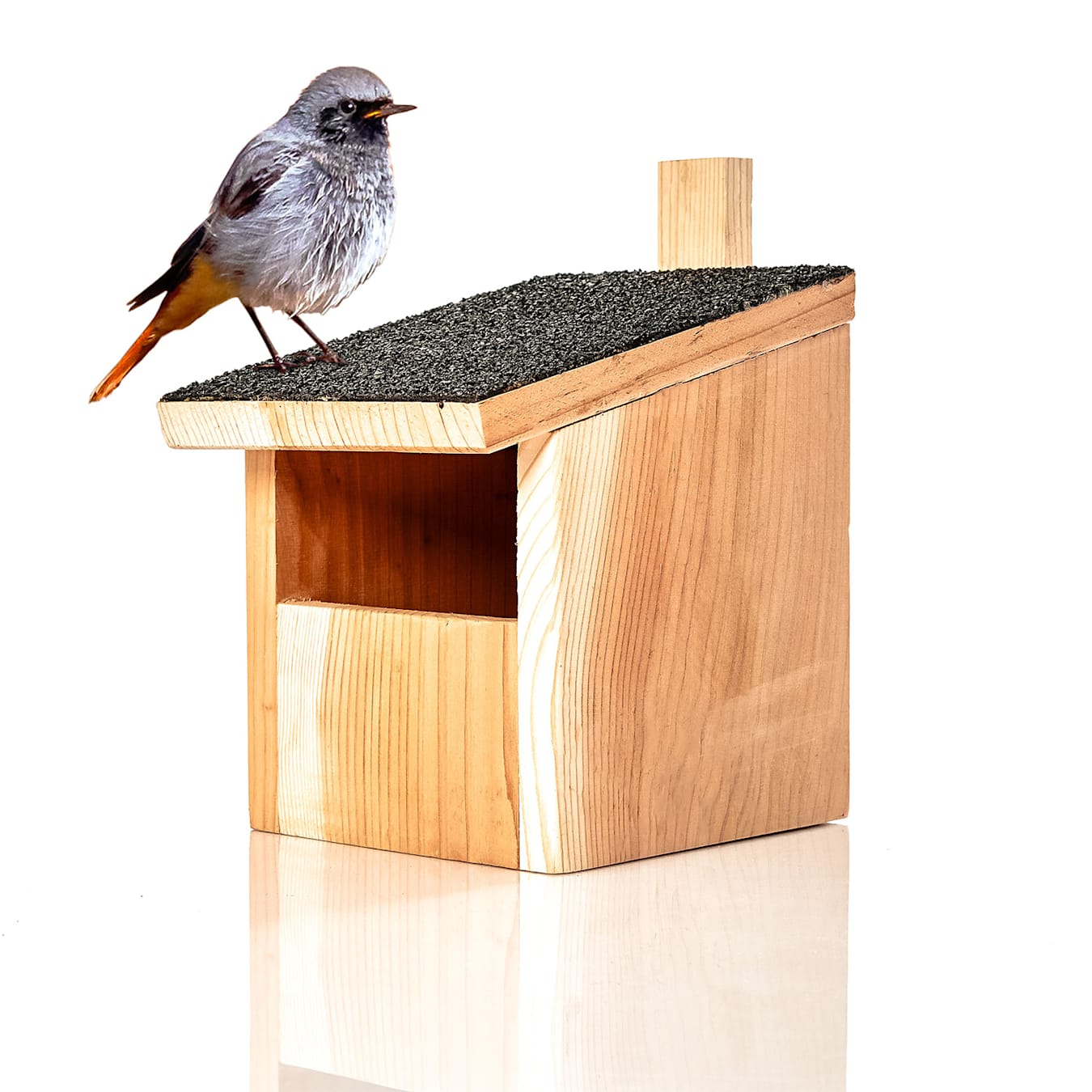 Build Nesting Boxes. Nesting box