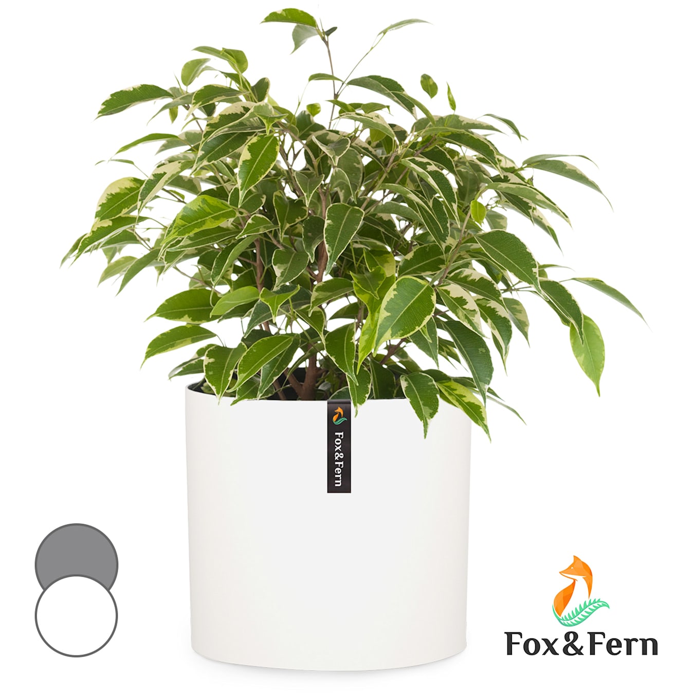 Fox & Fern Pot de Fleur Interieur, Pot pour Plantes en Polystone