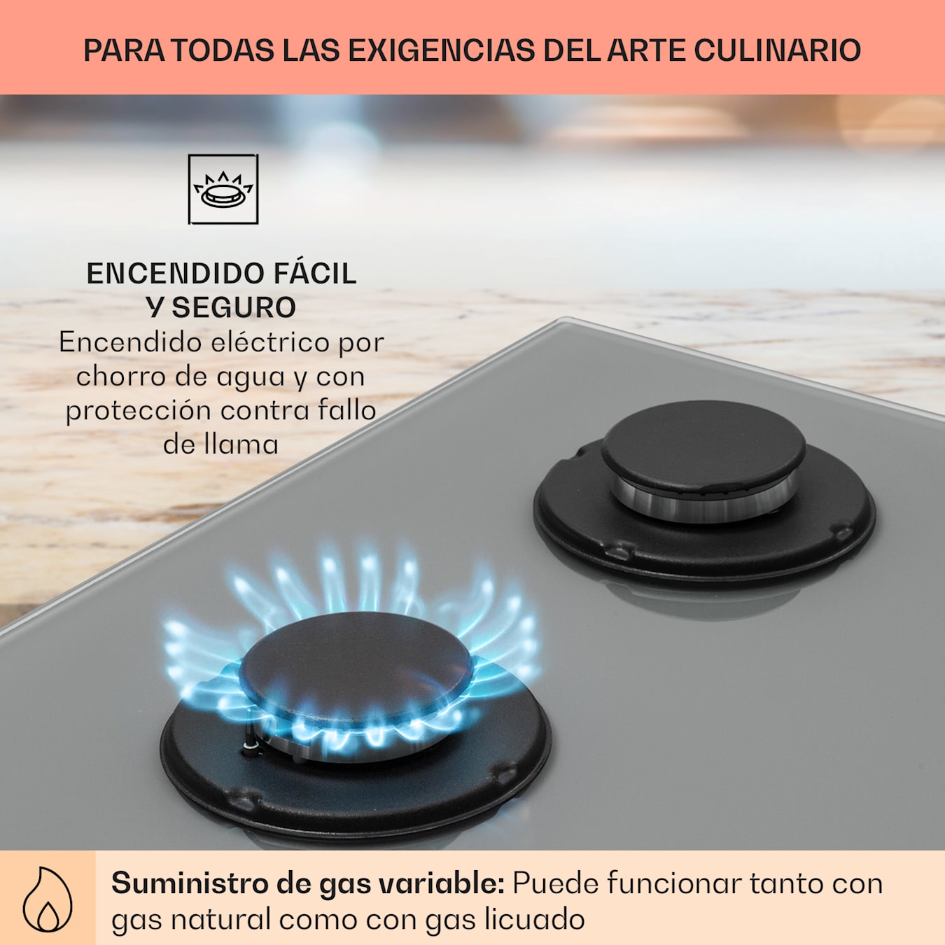 Klarstein Placa Gas Butano Integrada 4 Fuegos Placa para Encimera, Acero y  Cristal, Potencia de 8100W, Fogones de 4 Anillos GPL Cocina : :  Grandes electrodomésticos