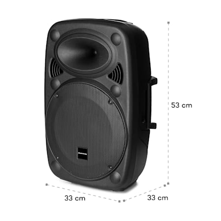 auna pa speakers