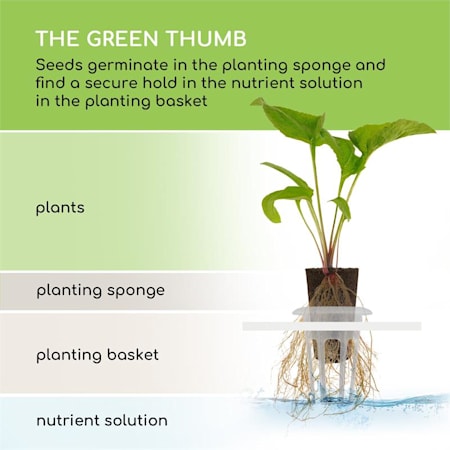 Blumfeldt Urban Bamboo Hydroponic Garden 12 Plants 24w Led 7