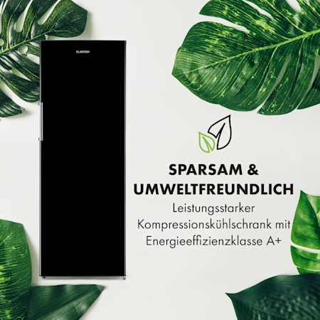 BigBoy XXL Kühlschrank Vollraumkühlschrank BigBoy XXL Kühlschrank Vollraumkühlschrank