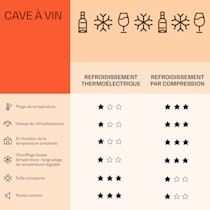 Cave à vin - Klarstein Bellevine 39 Flex - 105 litres / 39 bouteilles - 2  zones de refroidissement - Noir