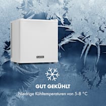 Secret Cool Mini-Kühlschrank Minibar, EEK G, 13 Liter, 45 cm Höhe, 2  Etagen, 22 dB, Kühlbereich: 5 - 8 °C, freistehend