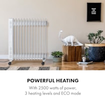 KESSER® Radiateur à bain d'huile - Chauffage électrique Chauffage à bain d' huile 2 500