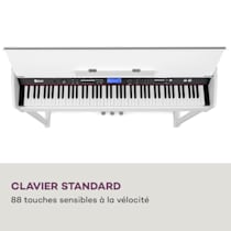 Clavier Piano 88 touches lestées Piano numérique Marteau Action
