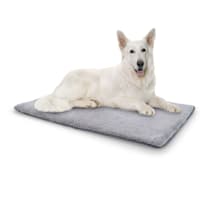 Siège de voiture pour chien, lit de voyage durable avec coussin intérieur