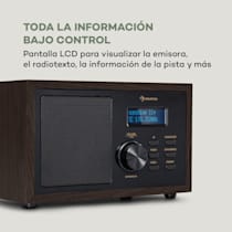 auna Harvard Minicadena Internet-/DAB+ y radio FM reproductor de