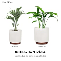 Fox & Fern Pot de Fleur Interieur, Pot pour Plantes en Polystone