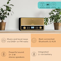 Glastonbury Go Digital Radio, Bluetooth, stereo speakers, display, DAB/FM  radio, FM antenna, MP3 playback, USB, line-in mode: connect other  players, Li-ion battery