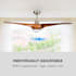 Monteverde Ceiling Fan Ceiling Light