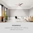 Monteverde Ceiling Fan Ceiling Light