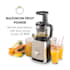 Sweetheart Slow Juicer