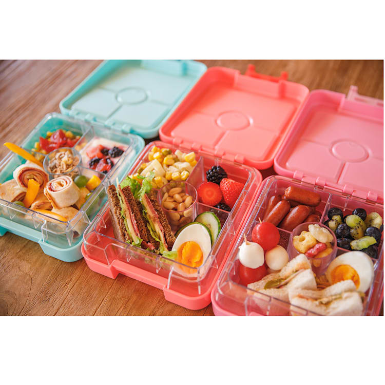 schmatzfatz junior, Snackbox, 4 Scomparti, 18 x 15 x 5 cm  Rosa corallo