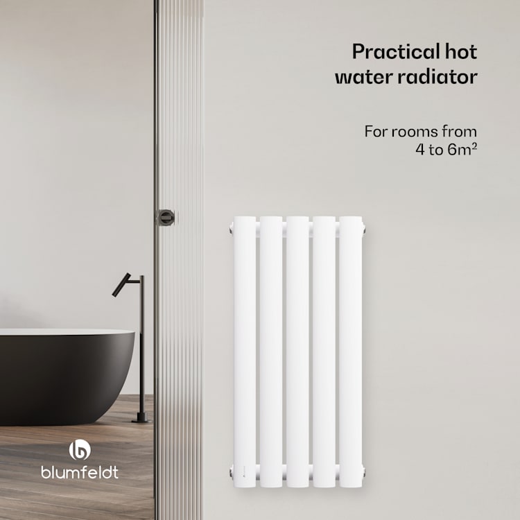 Radiador Blumfeldt Tallheo 60x30 230 W Single Layer | 60 x 30 cm | Branco