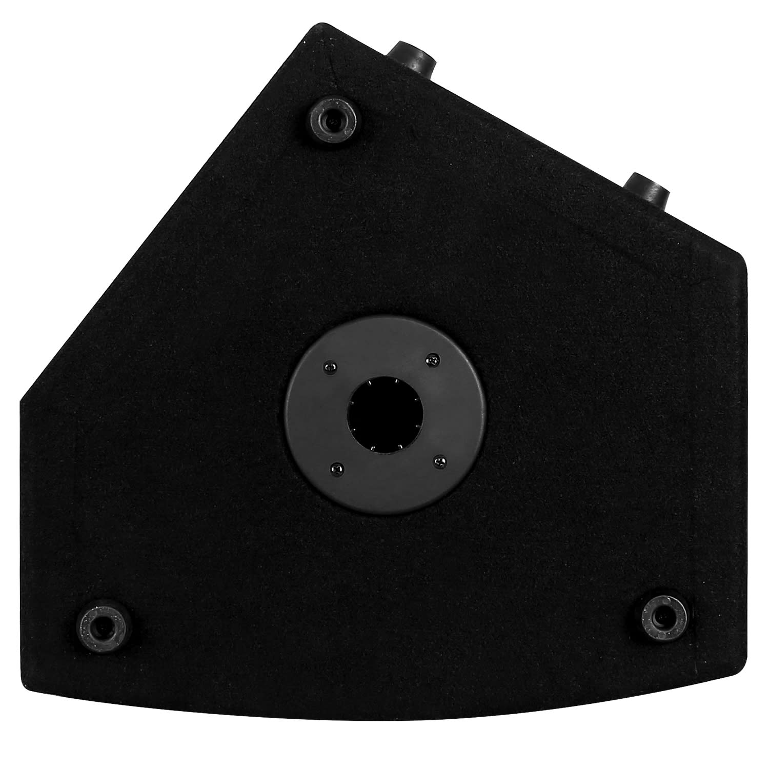 PW-MON-12A Moniteur de studio actif 1100W 30 cm (12")