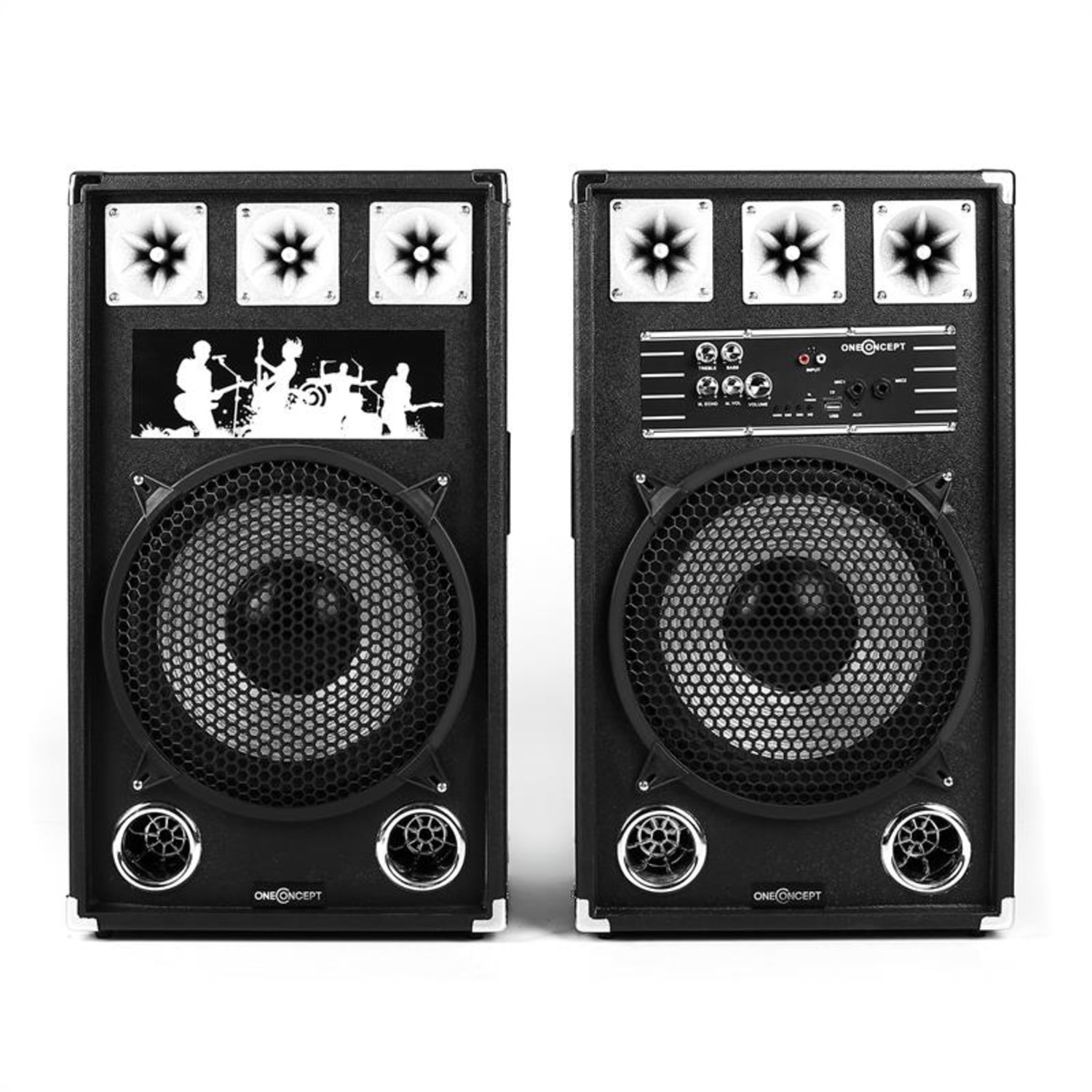 BSX-12A, 80 W, USB, microSD, AUX, MIC, PA repr. 30 cm (12")