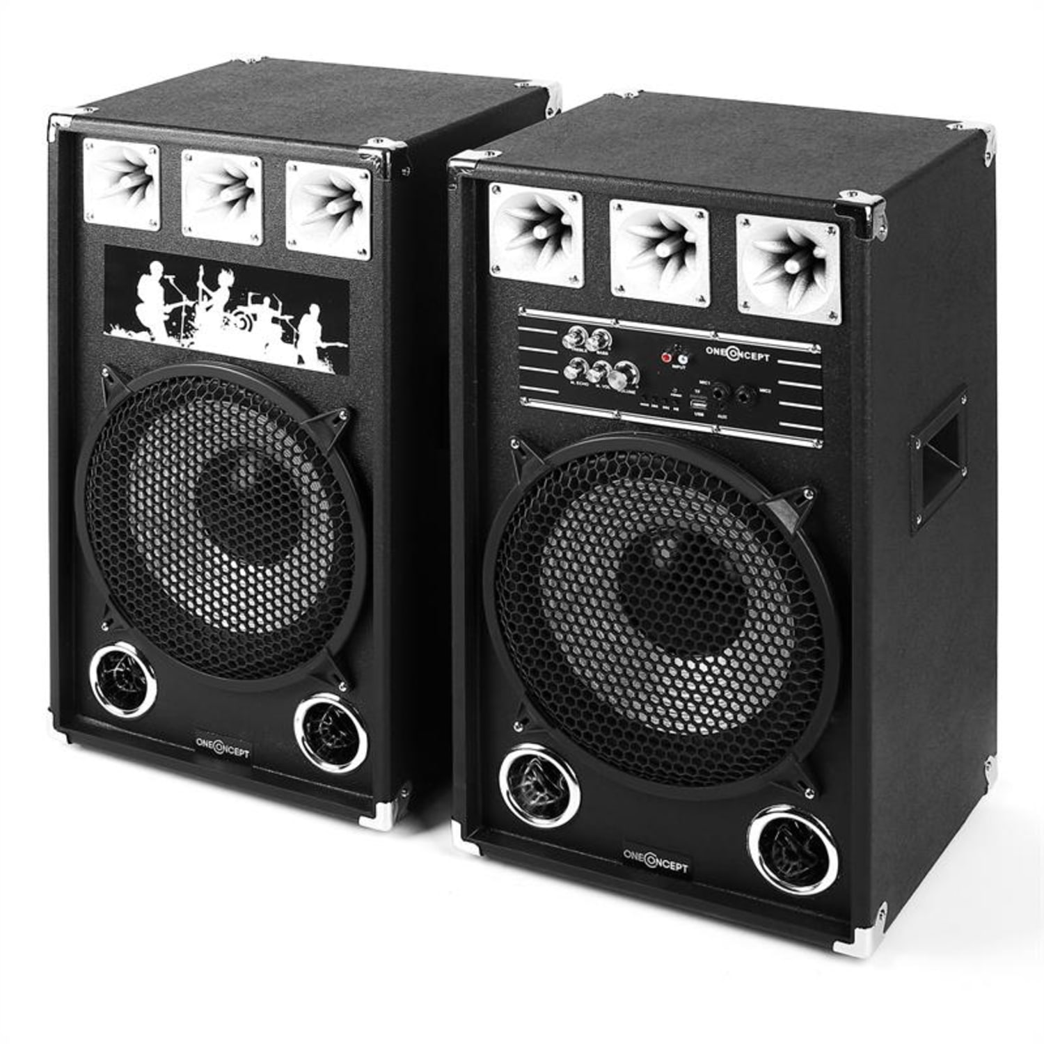 BSX-12A, 80 W, USB, microSD, AUX, MIC, PA repr. 30 cm (12")