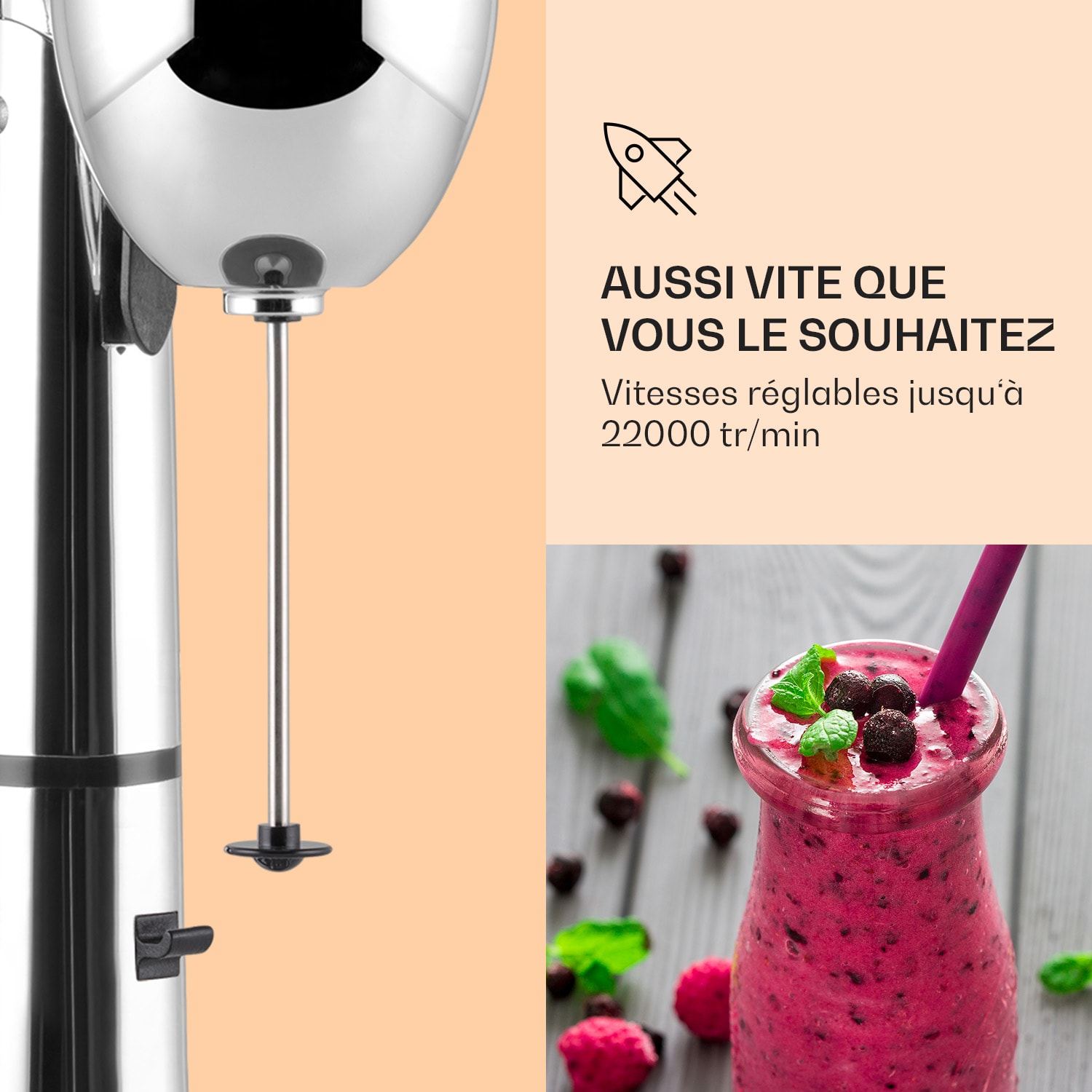 Shaker Mélangeur de boissons van Damme 100W shaker en acier inoxydable de 450 ml Argent