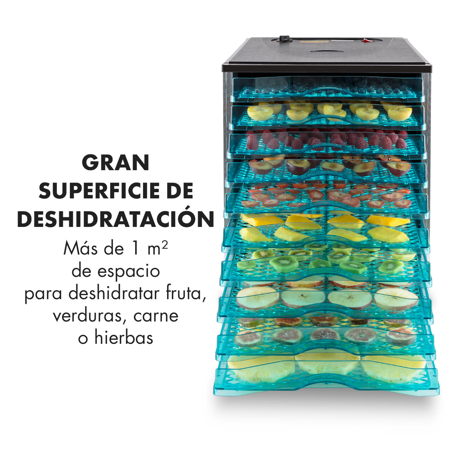 Fruit Jerky 10 Deshidratador secador 800W 10 pisos negro 10 bandejas