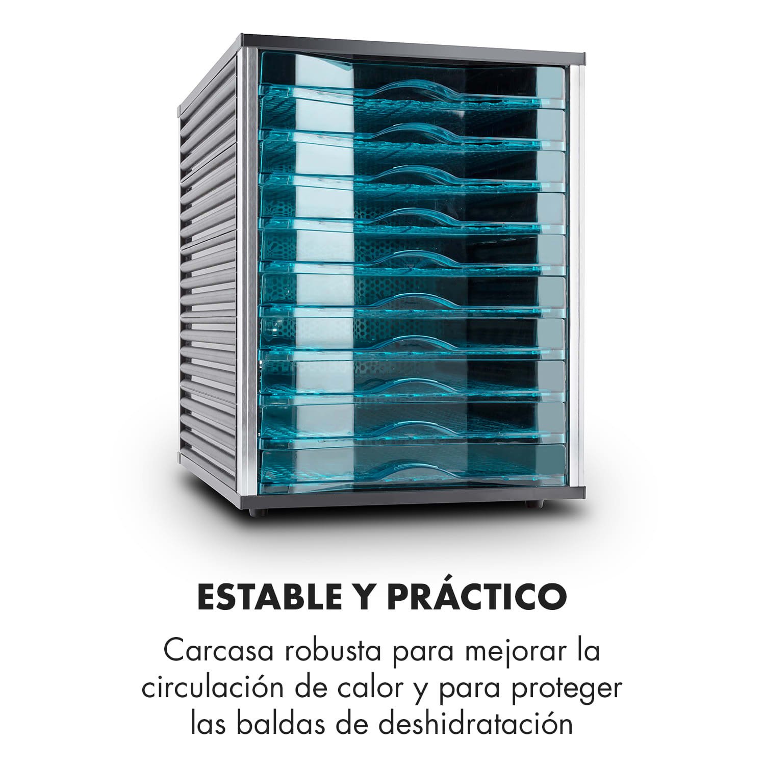 Fruit Jerky 10 Deshidratador secador 800W 10 pisos negro 10 bandejas