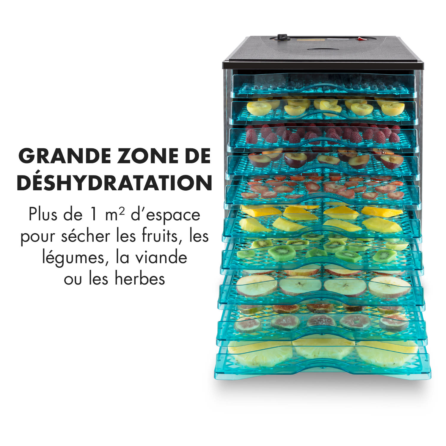 Fruit Jerky 10 déshydrateur alimentaire 800W 10 étages 10 étages