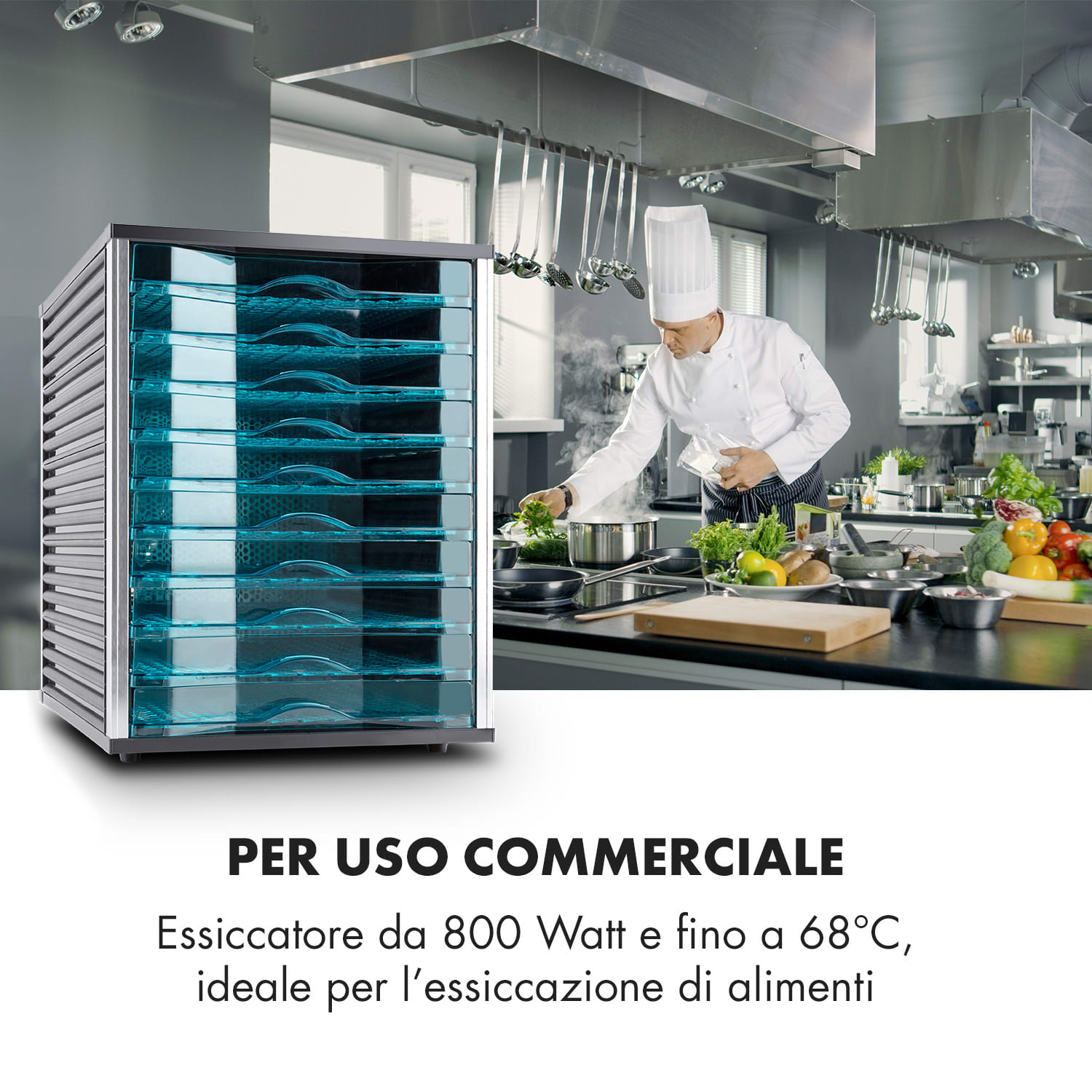 Fruit Jerky 10 Essiccatore 800W 10 Ripiani Nero 10 scomparti
