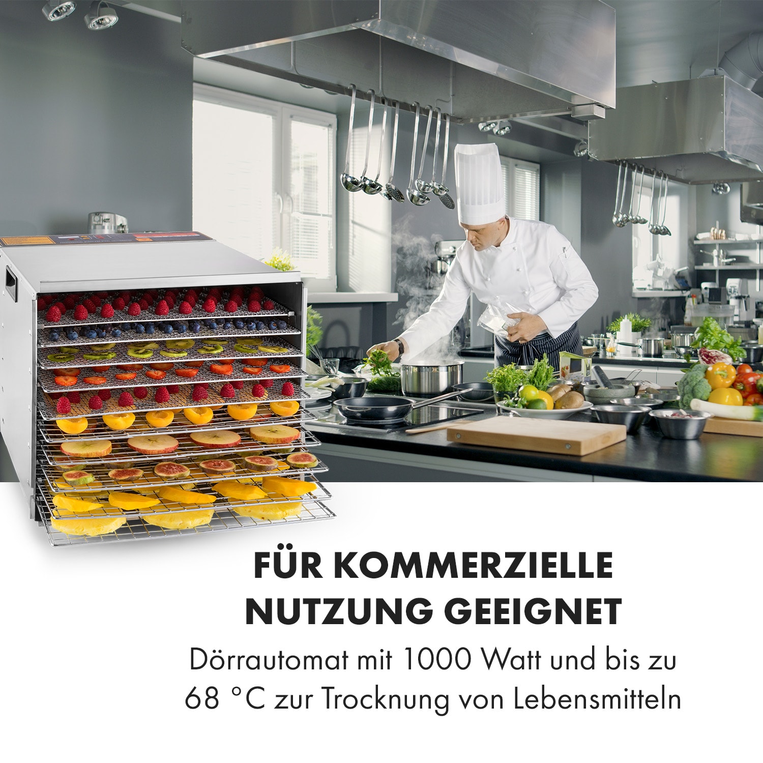 Fruit Jerky Steel 10 Dörrautomat 10 Etagen 1000 W Fläche: 1,5 m²  Timer 10 Etagen