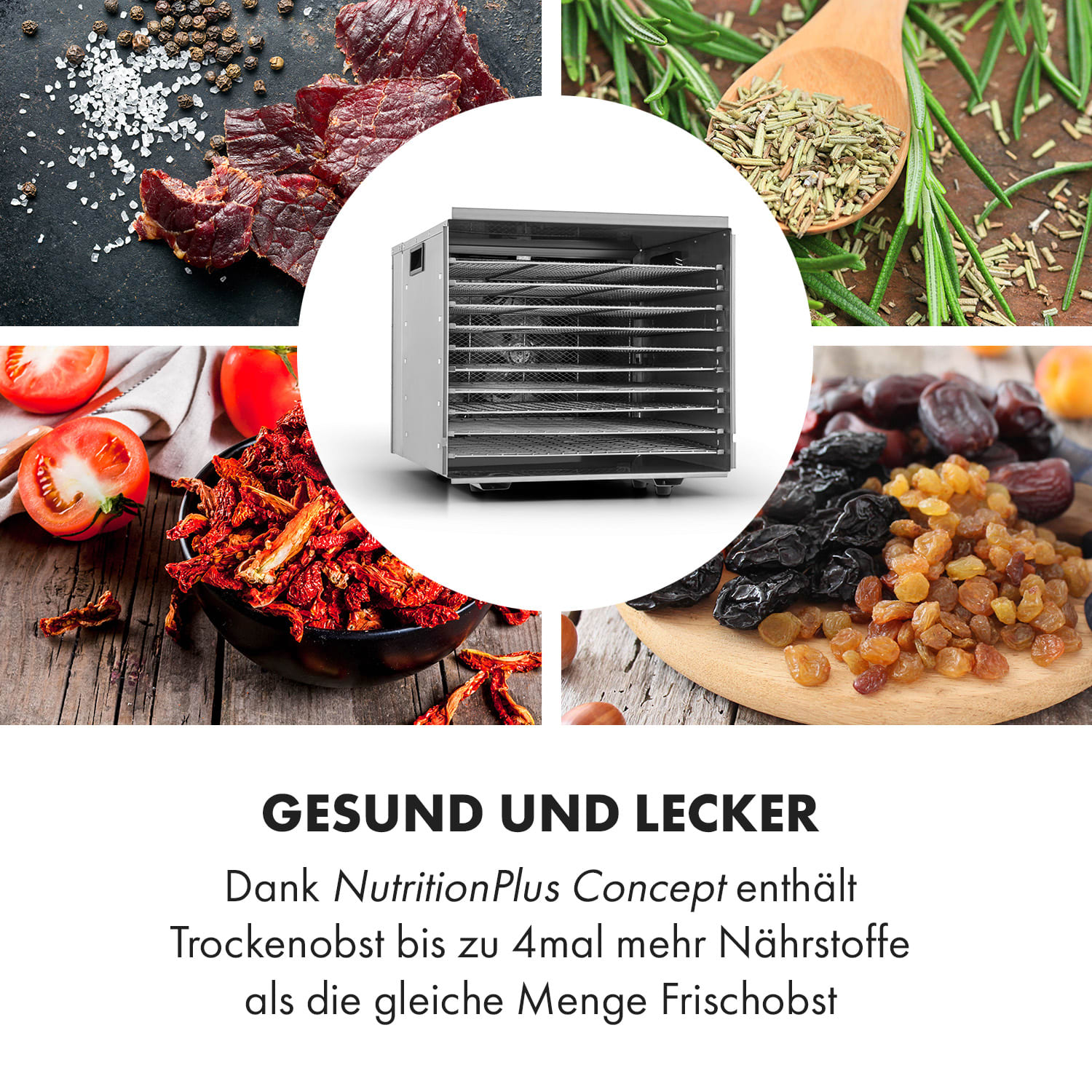 Fruit Jerky Steel 10 Dörrautomat 10 Etagen 1000 W Fläche: 1,5 m²  Timer 10 Etagen