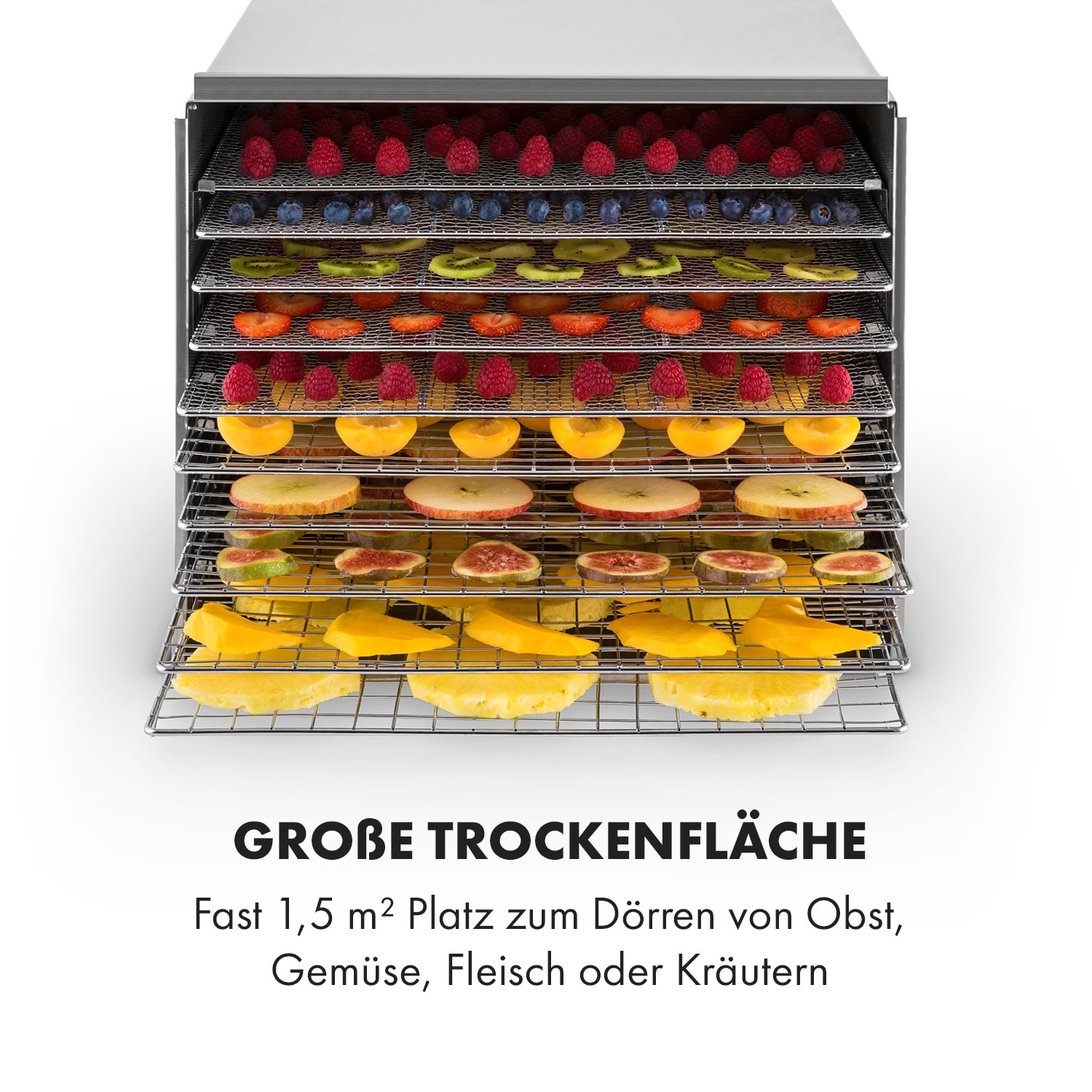 Fruit Jerky Steel 10 Dörrautomat 10 Etagen 1000 W Fläche: 1,5 m²  Timer 10 Etagen