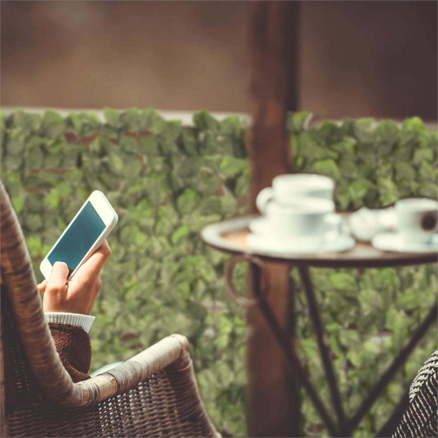 Fency Bright Leafvalla de protección visual y anti viento 300x100 cm haya verde claro 