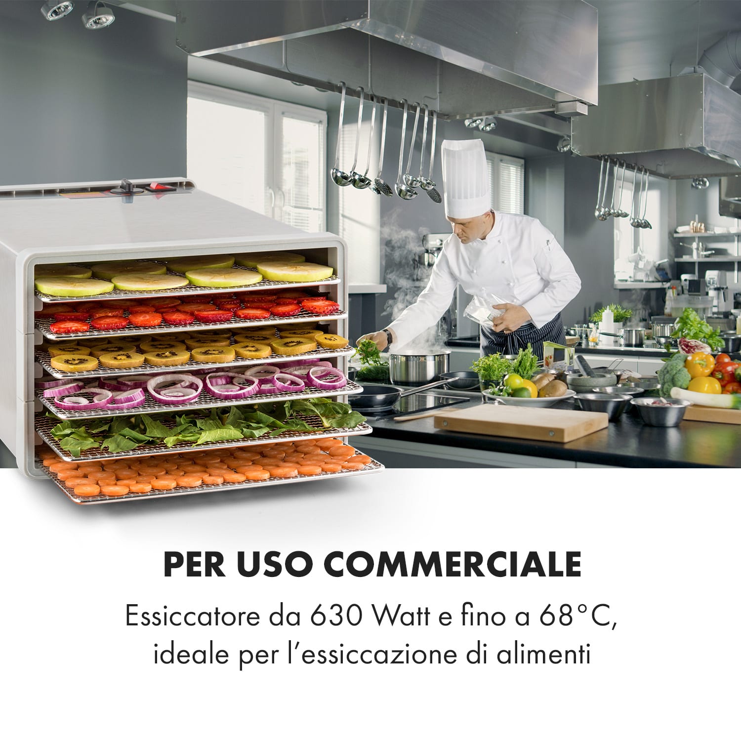 Fruit Jerky Steel 6 - Essiccatore, 6 ripiani, 630 W, superficie: 0,65 m² 6 scomparti