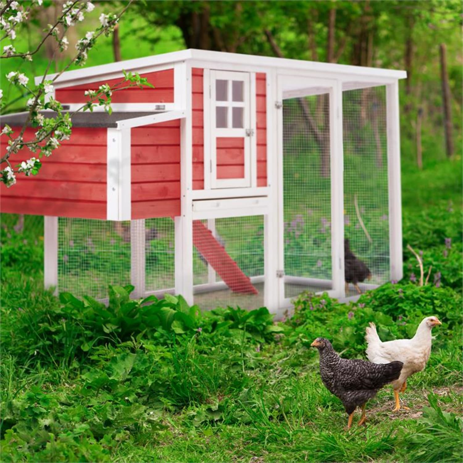Villa Ronaldo, kurnik, 2 gniazda do znoszenia jaj, 76 x 104 x 198 cm, drewno