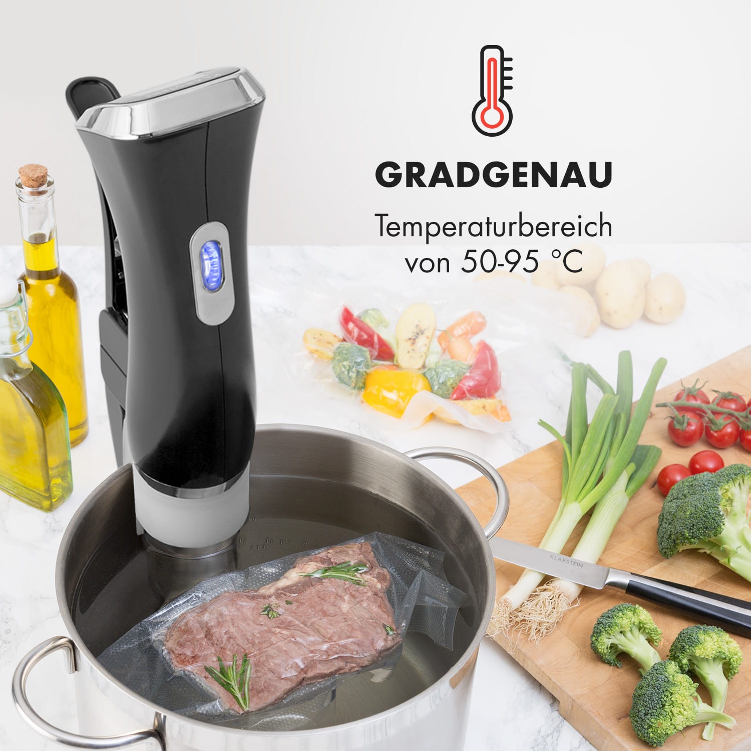 Quickstick Sous Vide Garer Thermostat: 50-95 °C für 20 L Edelstahl Schwarz