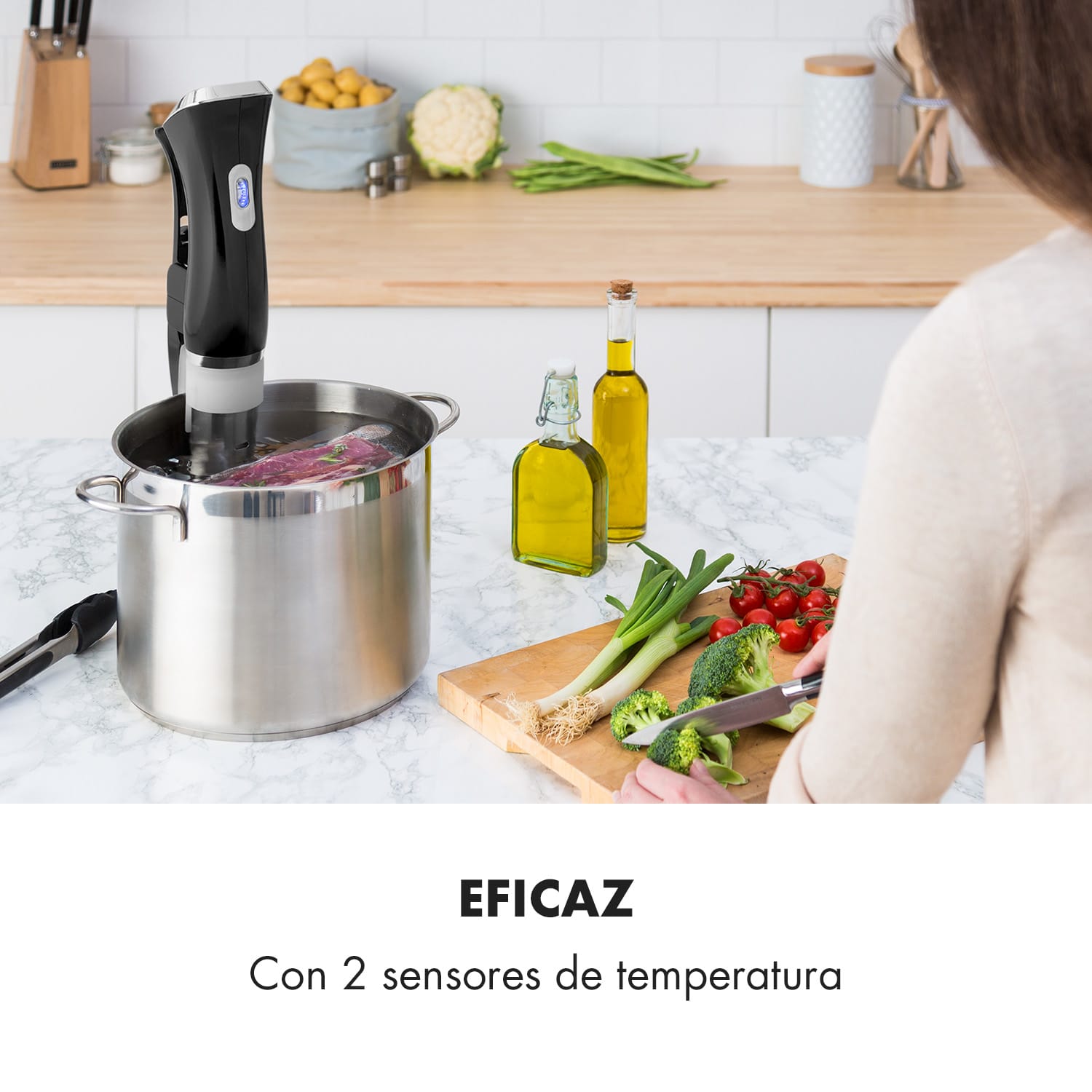 Máquina de vacío Quickstick | termostato: 50-95 °C en pasos de 0,5 °C | bomba de circulación para 20 L | acero inoxidable 