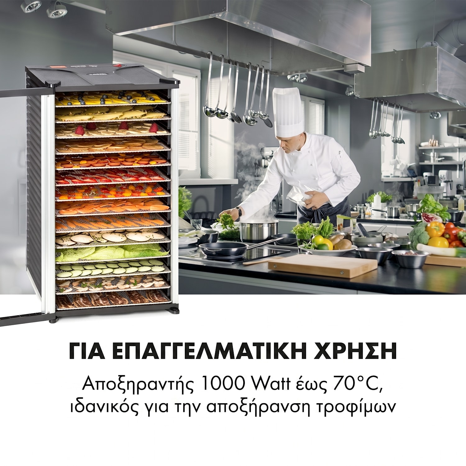Fruit Jerky 14, αποξηραντής φρούτων, 1000 W, 30-70 °C, 14 όροφοι, οθόνη LCD 14 στάδια