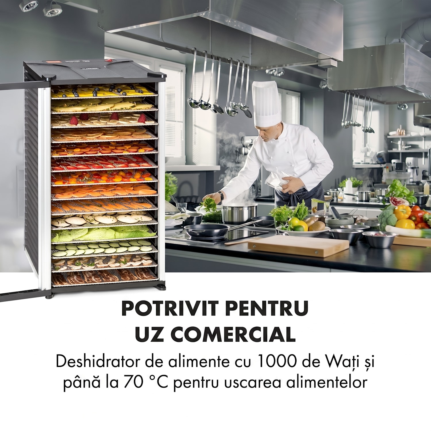 Fruit Jerky 14 Uscător de fructe 1000 W 30 până la 70 °C 14 rafturi Cronometru cu afișaj LCD 14 etape