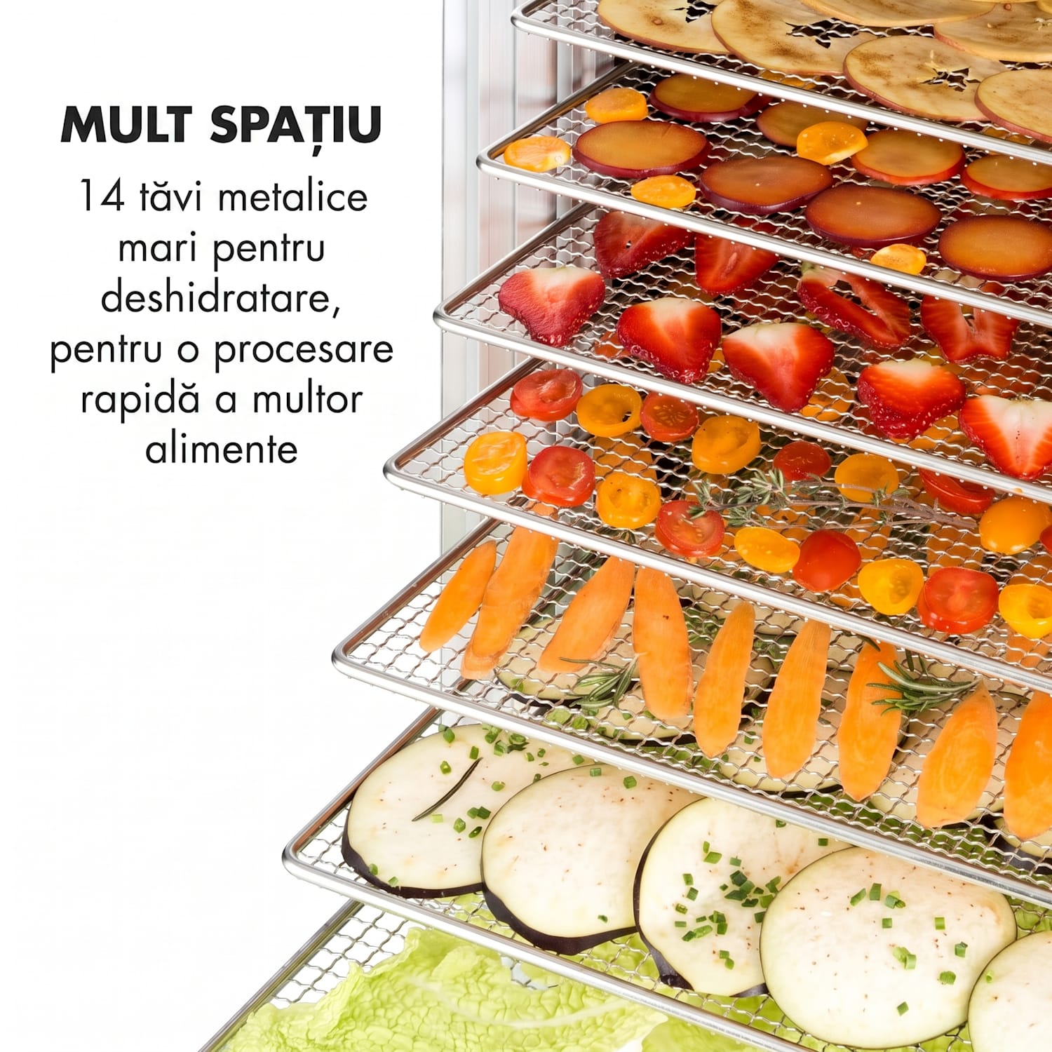 Fruit Jerky 14 Uscător de fructe 1000 W 30 până la 70 °C 14 rafturi Cronometru cu afișaj LCD 14 etape