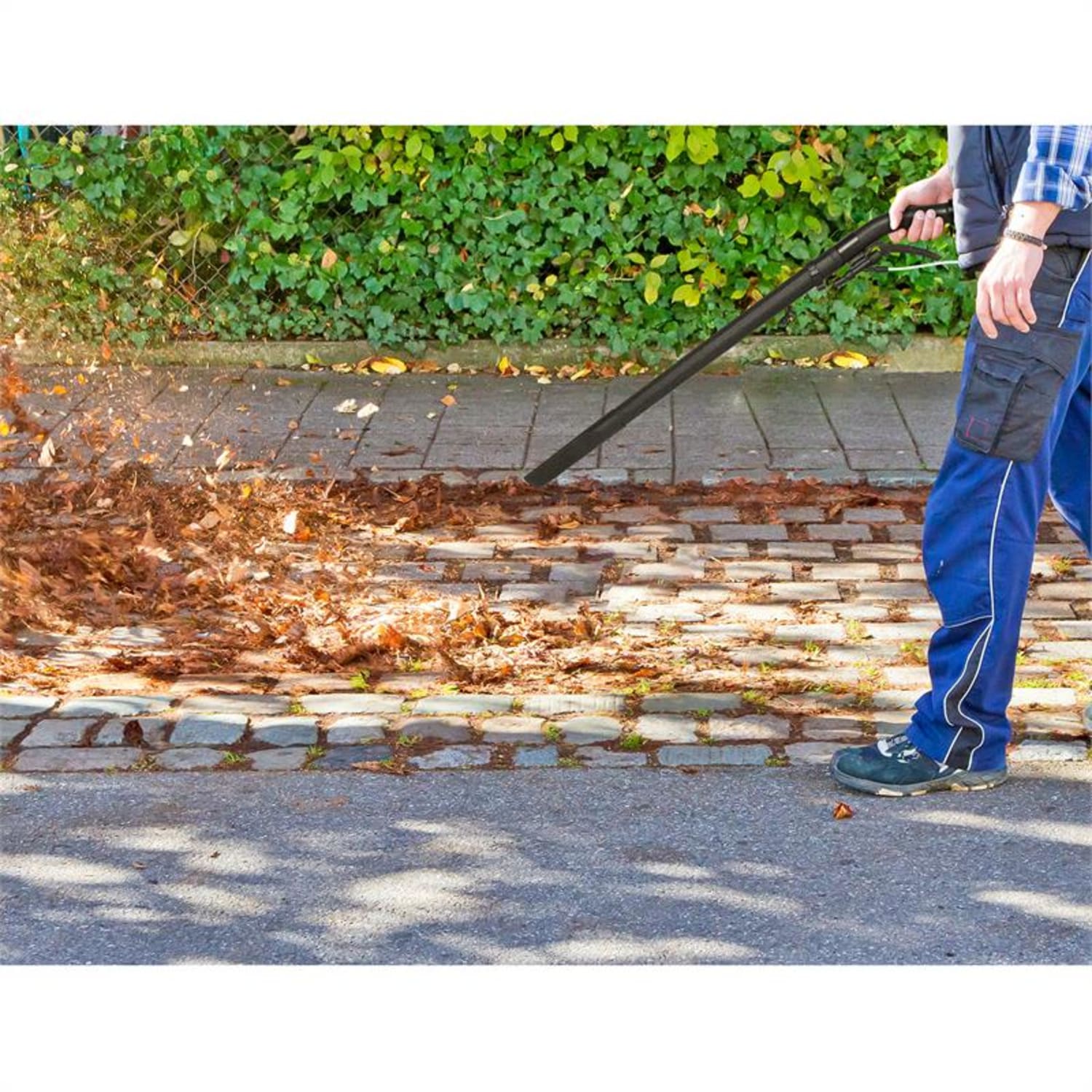 Reinraum 3G aspirador 4 en 1 combinado 1400 W tanque de limpieza 