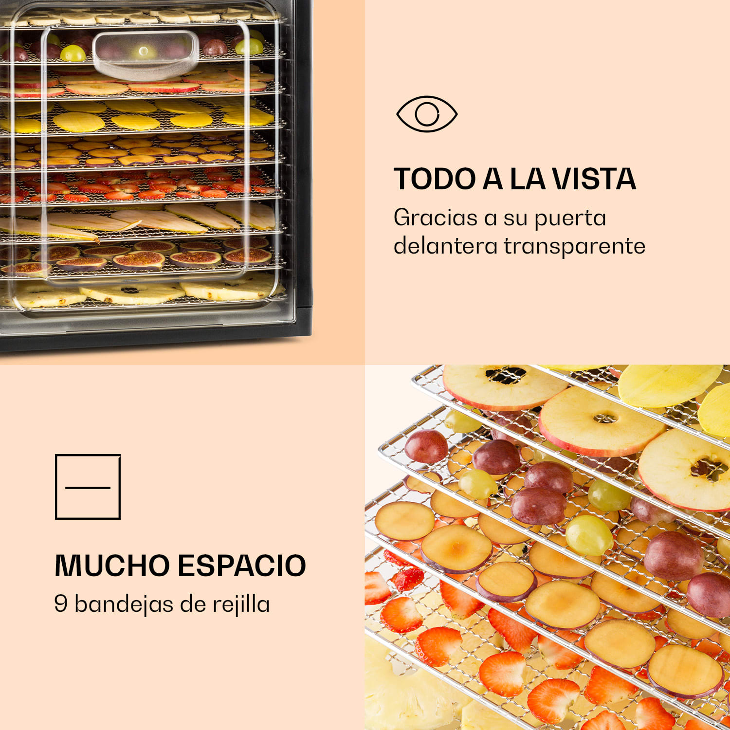 Fruit Jerky Plus 9 Deshidratador de alimentos Temporizador 9 bandejas 600-700 W 35-70 °C 9 bandejas