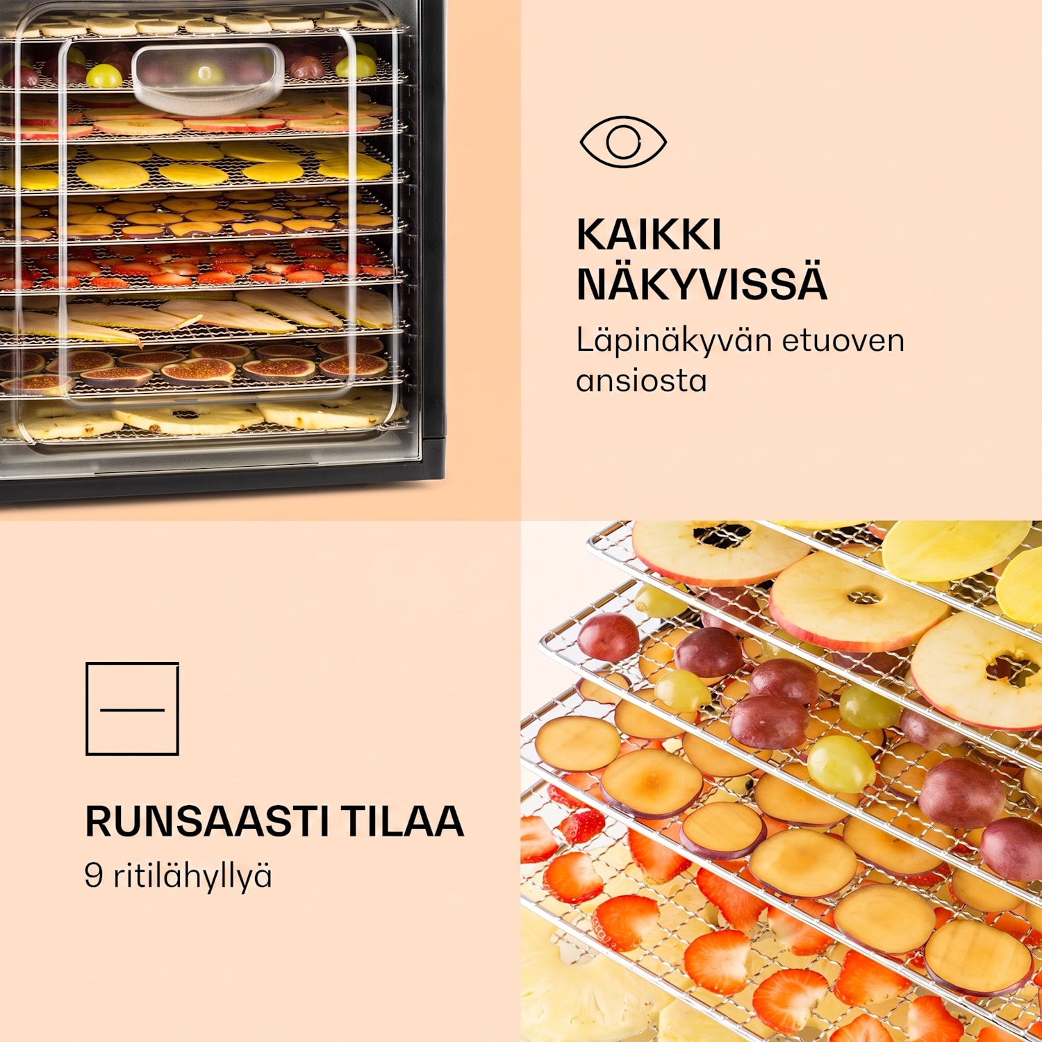 Fruit Jerky Plus 9 -kuivuri ajastin 9 ritilää 600–700 W 35–70 °C 9 tasoa