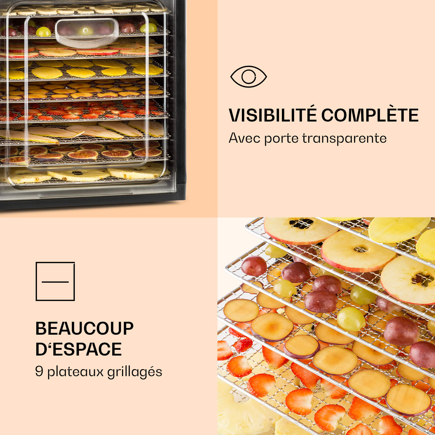 Fruit Jerky Plus 9 Déshydrateur alimentaire minuterie 9 étagères 600-700 W 35-70 °C 9 étages