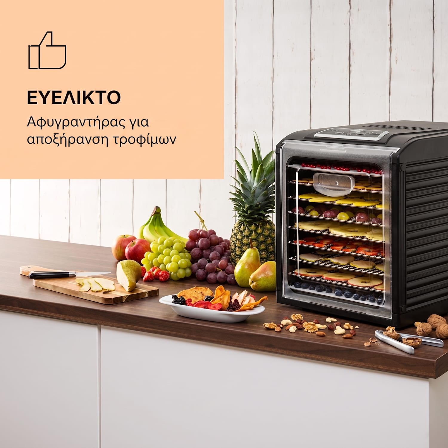 Fruit Jerky Plus 9, αποξηραντής τροφίμων, 600–700 W, 35–70 °C, χρονοδιακόπτης, 9 επίπεδα 9 στάδια