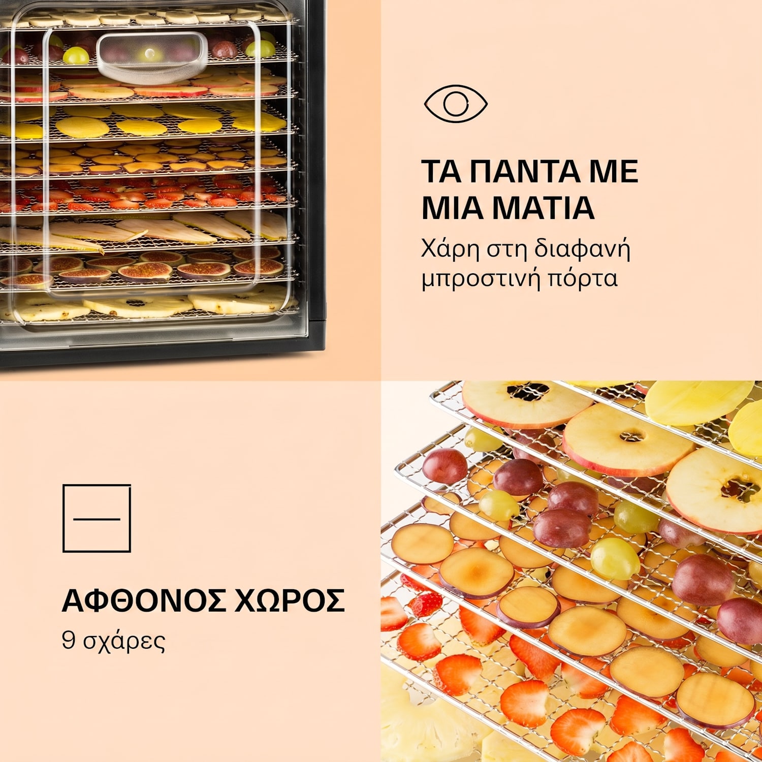 Fruit Jerky Plus 9, αποξηραντής τροφίμων, 600–700 W, 35–70 °C, χρονοδιακόπτης, 9 επίπεδα 9 στάδια