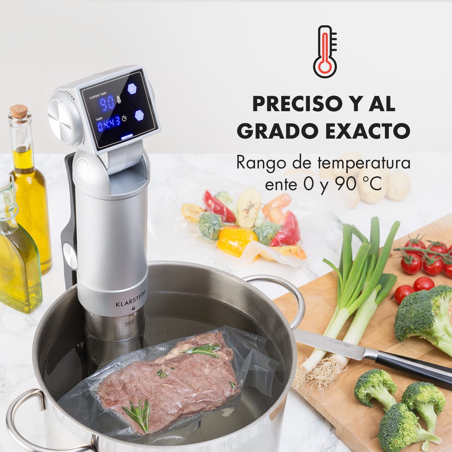 Quickstick Pro Sous Vide Cocedor Bomba 3D Distribución uniforme de calor 0-90 °C Blanco Plata